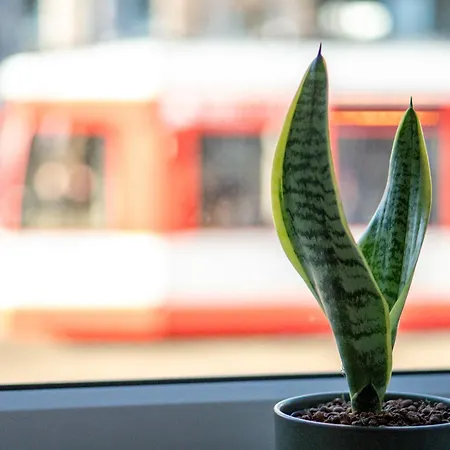 Zentral Bahnhof Salz&sand 75m2 Halle (Saale)