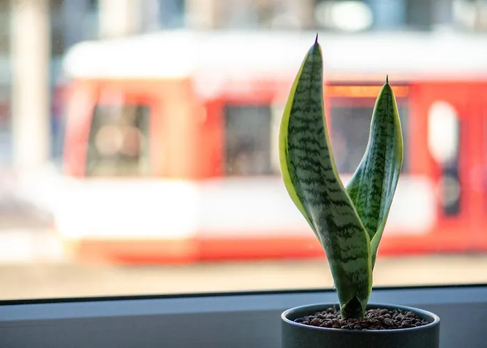 Zentral Bahnhof Salz&sand 75m2 Halle (Saale)